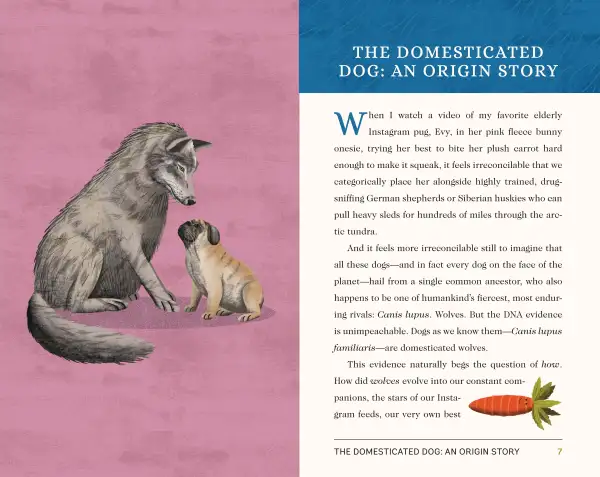 INSIDE VIEW OF THE BOOK. LEFT OAGE GAS A BIG HUSKY LOOKING DOG SITTING NEXT TO AND LOOKING DOWN AT A SMALL PUG. TO THE RIGHT IS A PAGE OF TEXT EXPLAING THE DOMESTICATION HISTORY OF DOGS. 