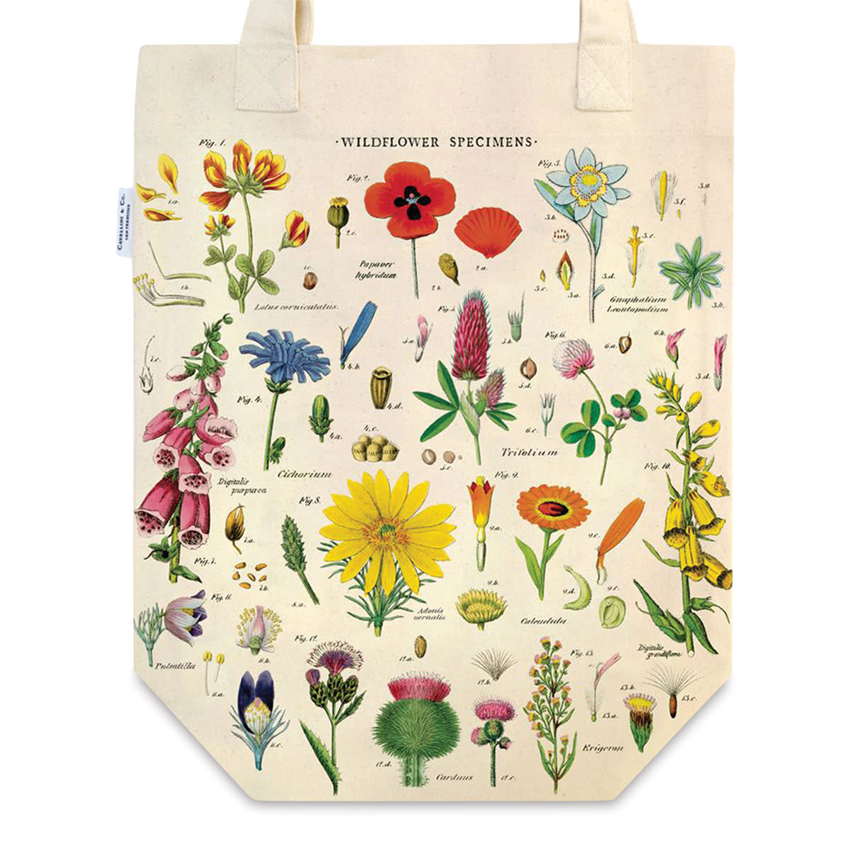 WILDFLOWER TOTE BAG CAVALLINI PAPERS CO