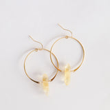 Citrine Hoops 