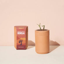 Load image into Gallery viewer, DESERT ROSE BONSAI GROW KIT
