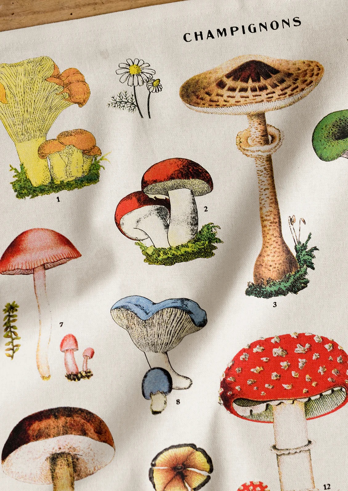 A close up photo showing the detail of the mushrooms printed on the napkins.