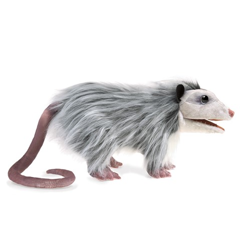 side profile of opossum standing with mouth ajar and long curled tail dragging behind it. 
