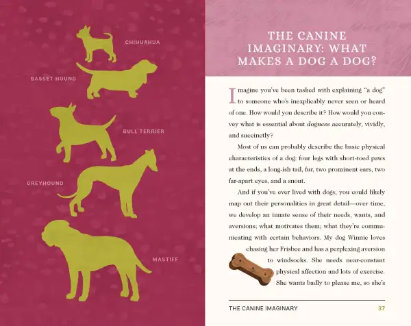 INSIDE VIEW OF THE BOOK. LEFT PAGE HAS 5 DOG BREED IN VARIOUS SIZES GROWING IN SIZE. THE RIGHT PAGE HAS TEXT THAT EXPLAINS "WHAT MAKES A DOG A DOG"