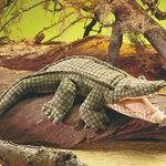 alligator hand-puppet in a setting that looks real. alligator has its mouth open and is on a log. 