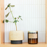 7.2oz Teakwood and Tobacco candle in home setting. Stands next to a potted plant on a wood shelf. 