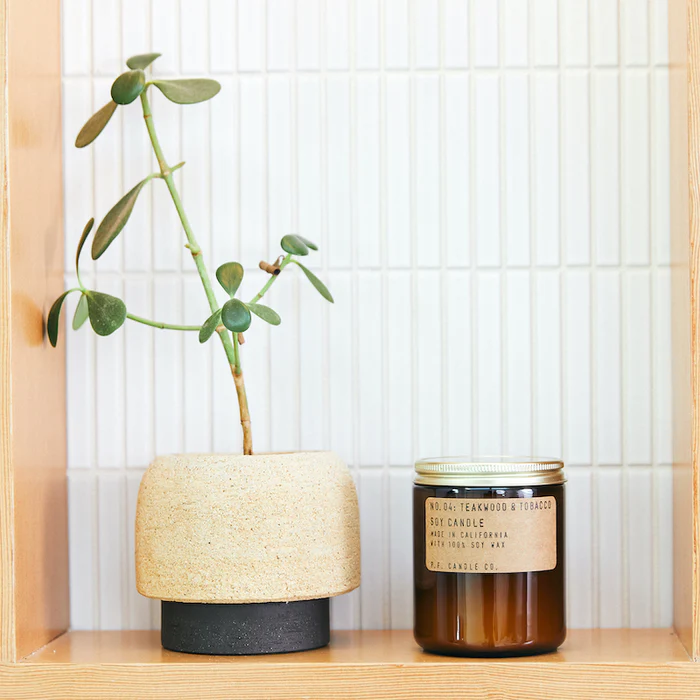 7.2oz Teakwood and Tobacco candle in home setting. Stands next to a potted plant on a wood shelf. 