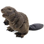 Small hand puppet. Brown beaver with long flat tail against a white background. 