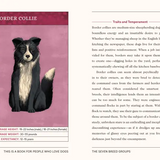 INSIDE VIEW OF THE BOX. THE LEFT OAGE HAS AN IMAGE OF A DOG SITTING WITH A PINK BACKGROUND AND QUICK FACTS. THE RIGHT PAGE EXPLAINSTHE TRAITS AND TEMPERMENTS OF THE DOG THATS SHOWN ON THE OPPOSITE PAGE. 