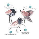 image shows the set of 3 birds laid flat. the bords look simialr in style, size and color. There are arrows that point to the birds showing what the materials inside are and how the pet can engage with the toy. 