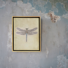 Load image into Gallery viewer, BLUE DASHER DRAGONFLY THREAD ART
