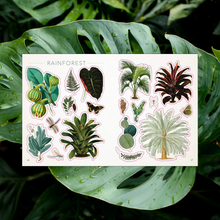Load image into Gallery viewer, BOTANIST&#39;S STICKER ANTHOLOGY
