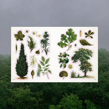 Load image into Gallery viewer, BOTANIST&#39;S STICKER ANTHOLOGY
