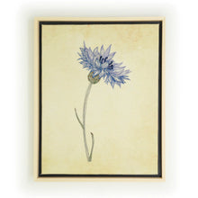 Load image into Gallery viewer, BLUE CORNFLOWER THREAD ART
