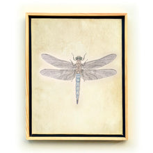 Load image into Gallery viewer, BLUE DASHER DRAGONFLY THREAD ART
