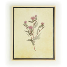 Load image into Gallery viewer, PLUME THISTLE THREAD ART
