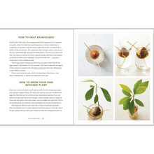 Load image into Gallery viewer, AN AVOCADO A DAY CONTENTS
