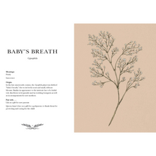 Load image into Gallery viewer, Floriography Baby&#39;s Breath Sample Page
