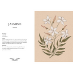 Floriography Jasmine Sample Page