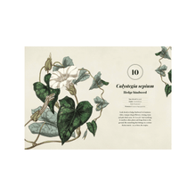 Load image into Gallery viewer, Weeds Book - Sample Page
