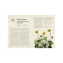 Load image into Gallery viewer, Weeds Book - Sample Page
