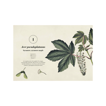 Load image into Gallery viewer, Weeds Book - Sample Page
