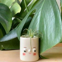 Load image into Gallery viewer, Timmy Planter - White
