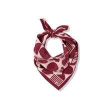 Load image into Gallery viewer, Port &amp; Blush Cotton Voile Bandana
