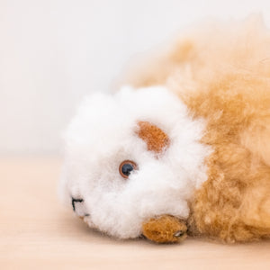 Small Guinea Pig