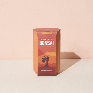 Desert Rose Bonsai Terracotta Grow Kit in Packaging
