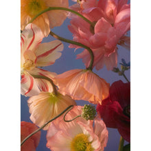 Load image into Gallery viewer, Tall Poppy Puzzle
