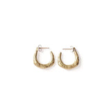 Pull Earrings